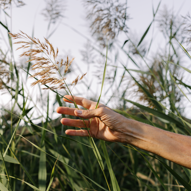 Únete a una comunidad amable y deseosa de combinar salud con naturalidad
