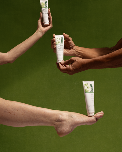 Descubre toda la gama